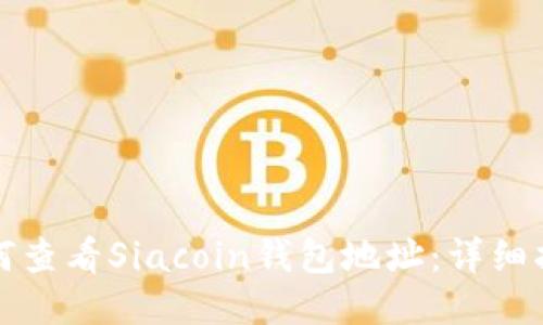 如何查看Siacoin钱包地址：详细指南