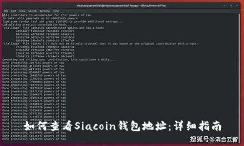 如何查看Siacoin钱包地址：详细指南