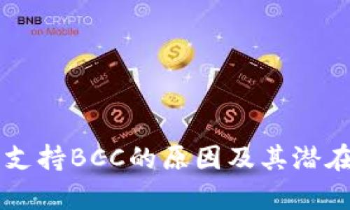 区块链钱包不支持BCC的原因及其潜在影响深度分析