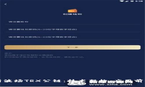 深入剖析波场TRX公链：技术架构、应用前景与挑战