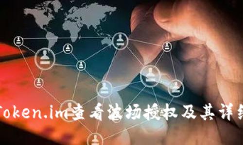 如何通过Token.im查看波场授权及其详细操作指南