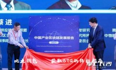 比太钱包——获取BTG的终极指南