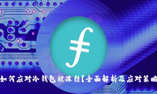 如何应对冷钱包被冻结？全面解析及应对策略