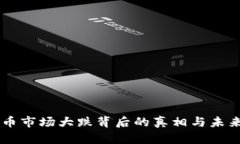 虚拟币市场大跌背后的真相与未来展望