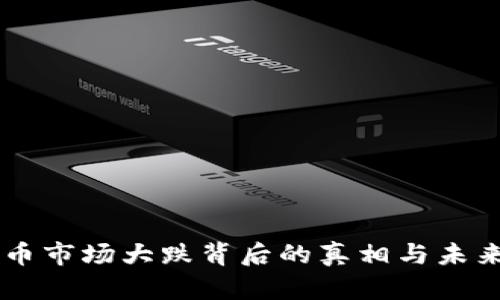 虚拟币市场大跌背后的真相与未来展望