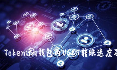 : 深入探讨: Token.im钱包内USDT转账速度及其影响因素
