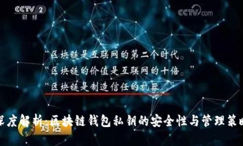 深度解析：区块链钱包私钥的安全性与管理策略