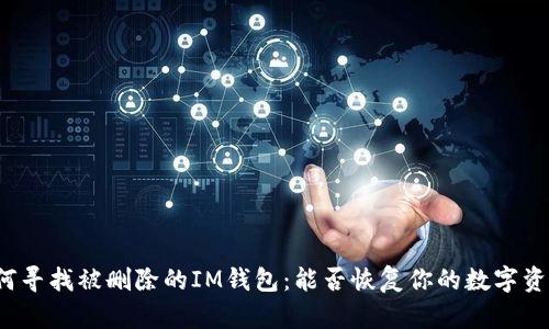 如何寻找被删除的IM钱包：能否恢复你的数字资产？