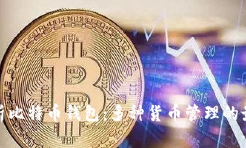 全面解析比特币钱包：多种货币管理的最佳选择