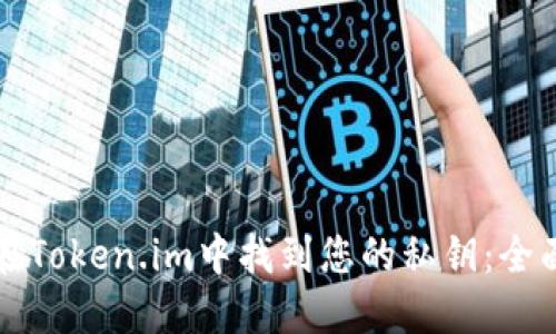 如何在Token.im中找到您的私钥：全面指南