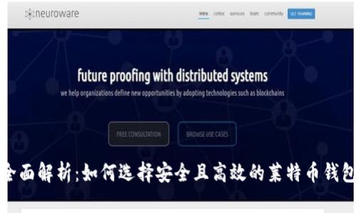 全面解析：如何选择安全且高效的莱特币钱包