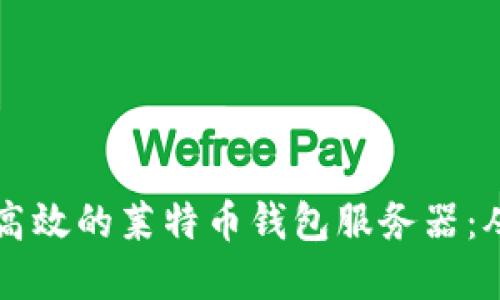 如何建立和管理一个高效的莱特币钱包服务器：从基础知识到高级配置