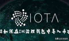 详细介绍如何在IM治理钱包中导入币安链钱包