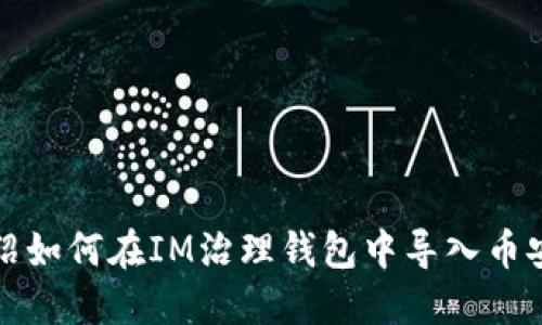 详细介绍如何在IM治理钱包中导入币安链钱包