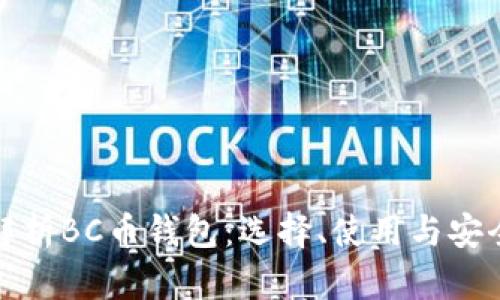 全面解析BC币钱包：选择、使用与安全策略