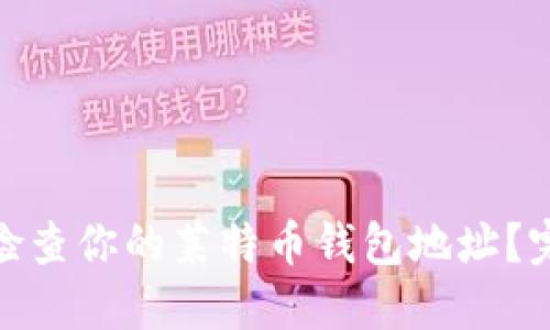 : 如何快速定位和检查你的莱特币钱包地址？完整指南与实用技巧