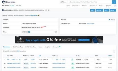 全面解析虚拟币钱包映射：流程、技术与安全保障