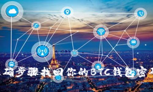 如何通过正确步骤找回你的BTC钱包密码：详细指南