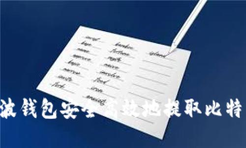 如何通过瑞波钱包安全高效地提取比特币：全面指南