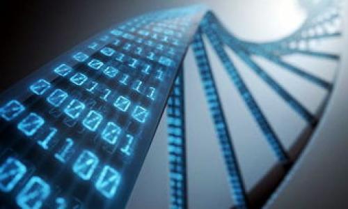 如何在Token.im平台上安全地取消交易步骤详解
Token.im, 取消交易, 加密货币, 钱包管理/guanjianci

引言：Token.im平台概述
在当今的数字时代，Token.im作为一个致力于提供安全、便捷的加密货币交易和管理服务的平台，无疑为用户提供了极大的便利。通过Token.im，用户可以方便地进行各种加密货币的交易、存储和管理。然而，对于许多新手用户来说，操作过程中难免会遇到一些问题，例如如何取消一笔已发起的交易。本文将为您详细介绍如何在Token.im平台上取消交易的具体步骤，希望对您有所帮助。

第一部分：了解交易活动
在您决定取消交易之前，首先需要了解您在Token.im平台上的交易活动，包括正在进行的交易、已确认的交易以及待处理的交易。每一笔交易的状态可能影响您取消交易的能力。例如，已确认的交易通常无法取消，而未确认的交易则是可以被取消的。因此，了解交易的状态是至关重要的。

第二部分：登录Token.im账户
为了取消交易，您首先需要登录到您的Token.im账户。请按照以下步骤进行：
ul
    li打开Token.im官方网站或启动移动应用。/li
    li输入您的账户信息，包含用户名和密码。/li
    li完成必要的安全验证（如短信验证码或双重身份验证）。/li
/ul
成功登录后，您将看到您的账户仪表盘，上面列出了您的资产、交易历史及其他相关信息。

第三部分：查找待处理的交易
在账户仪表盘中找到“交易”或“历史交易”选项，这里将显示您过去和当前的交易记录。请特别注意交易的状态，根据您的需求查找待处理的交易。通常这类交易会标记为“待确认”或“未完成”。

第四部分：选择要取消的交易
一旦找到待处理的交易，您可以点击进入该交易的详细信息页面。在这里，您将看到交易的具体信息，如交易金额、接收地址、费用以及创建时间等。请仔细核对这些信息，以确保您选择了正确的交易进行取消。

第五部分：执行取消交易操作
在交易详细信息页面中，通常会有一个“取消交易”或“撤销”按钮。如果该按钮可用，您可以直接点击它。系统会提示您确认操作，确保您真的打算取消该交易。确认后，系统会提示您取消的结果。在某些情况下，平台可能会对取消交易收取一定的费用，请提前了解相关费用政策。

第六部分：确认交易取消状态
成功执行取消操作后，建议您及时回到交易记录页面，确认该交易的状态是否已更改为“已取消”或类似字样。这样可以确保您的操作已经生效，避免产生不必要的损失。

第七部分：处理已确认的交易
需要注意的是，已确认的交易是无法取消的。如果您发现自己无法取消某笔交易，请耐心等待其处理完成。在大部分情况下，您可以选择通过区块链的方式来跟踪交易的状态，确认资金的接收或发出情况。此外，还可联系Token.im客服，询问是否有其他途径解决问题。

总结：安全管理您的加密交易
取消交易的功能为用户提供了更多的控制权和灵活性。尽管Token.im为用户提供了相对简单的取消交易操作，但新手用户在操作过程中仍需保持谨慎，确保每一步操作的正确性。希望本文的详细介绍能够帮助您更好地使用Token.im平台，妥善管理您在这一平台上的加密货币交易。无论是取消交易还是其他操作，都请确保风险意识，合理安排好每一项资金动向。 

附录：常见问题解答
如果在使用Token.im平台过程中遇到其他问题，您还可以参考以下相关的常见问题：
ul
    li如何查看我的交易余额？/li
    li如何更改我的账户密码？/li
    li如何提高账户安全性？/li
    li如何联系Token.im客服支持？/li
/ul
随时保持对加密货币市场的关注与学习，以提高您在这个领域的操作能力和判断力。