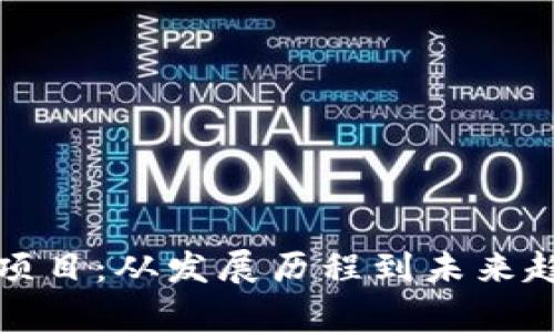 探寻币圈首码项目：从发展历程到未来趋势的全面解析