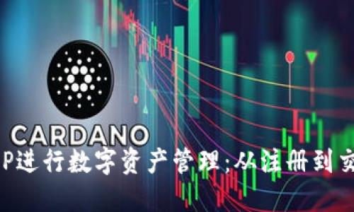 如何使用派币APP进行数字资产管理：从注册到交易的全方位指南