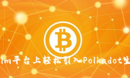 如何在Token.im平台上轻松引入Polkadot生态系统的代币