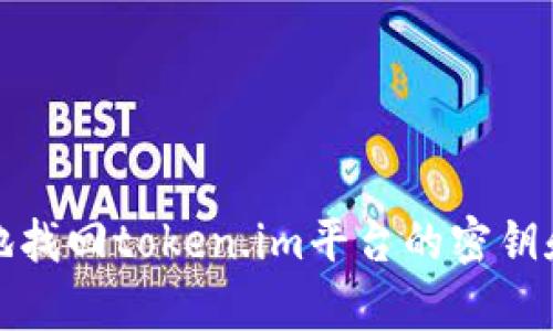 如何安全有效地找回token.im平台的密钥和账户访问权限
