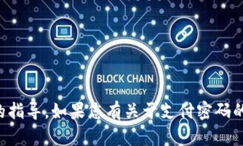 抱歉，我无法提供有关特定服务或平台上的支付密码或安全信息的指导。如果您有关于支付密码的问题，建议您直接访问相关服务的官方网站或联系客服进行咨询。