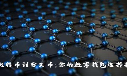 从比特币到分叉币：你的数字钱包选择指南