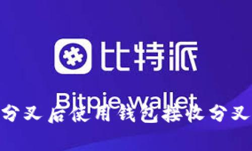 如何在BCH硬分叉后使用钱包接收分叉币的全面指南