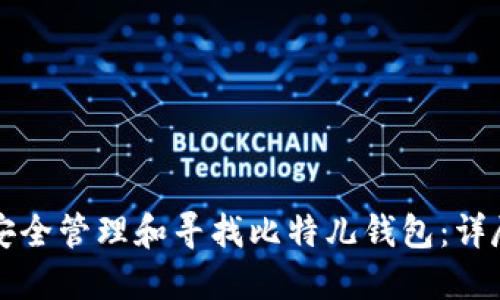 如何安全管理和寻找比特儿钱包：详尽指南