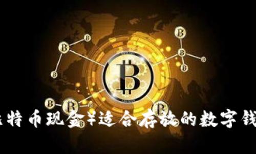 BCH（比特币现金）适合存放的数字钱包解析