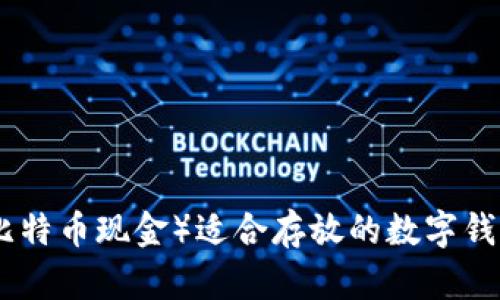 BCH（比特币现金）适合存放的数字钱包解析