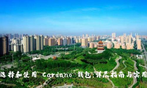 如何选择和使用 Cardano 钱包：详尽指南与实用建议