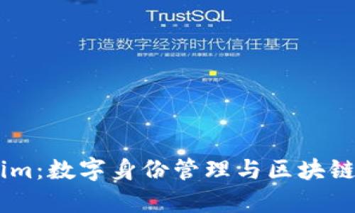 全面解析Token.im：数字身份管理与区块链技术的创新结合