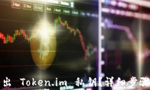 
如何安全导出 Token.im 私钥？详细步骤与注意事项