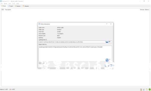 如何在Token.im上设置BSC（币安智能链）：全面指南