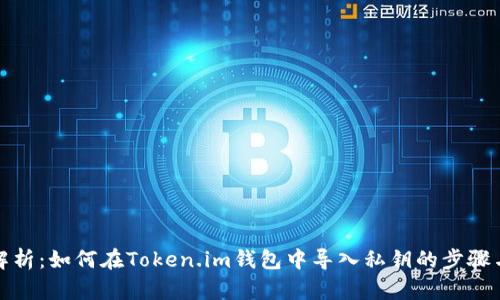 全面解析：如何在Token.im钱包中导入私钥的步骤与技巧