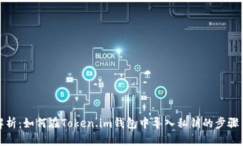 全面解析：如何在Token.im钱包中导入私钥的步骤与技巧