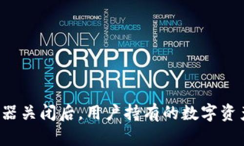 Token.im服务器关闭后，用户持有的数字资产该如何处理？