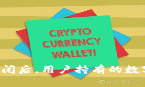 Token.im服务器关闭后，用户持有的数字资产该如何处理？