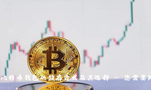全面解析：比特币钱包的储存方式及其选择 - 您需要知道的一切