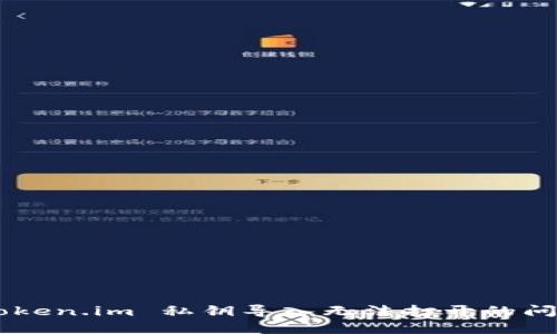 如何解决 token.im 私钥导入无法打开的问题：全面指南