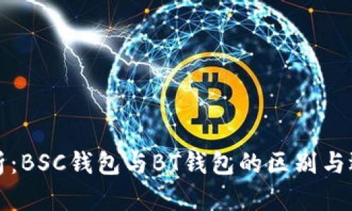 全面解析：BSC钱包与BT钱包的区别与选择指南