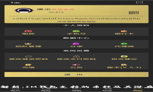 全面解析：IM钱包支持的币种及其潜在优势