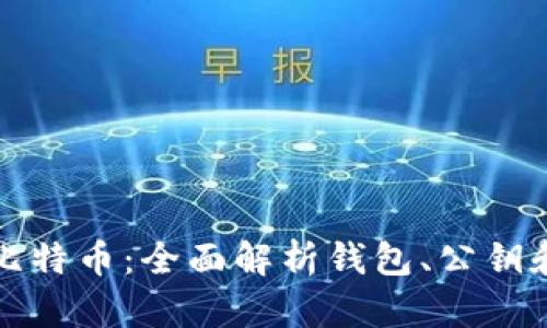 深入浅出比特币：全面解析钱包、公钥和账户管理