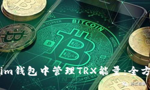 如何在im钱包中管理TRX能量：全方位指南