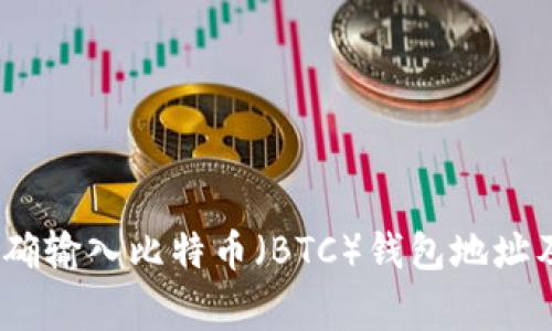 全面解析：如何正确输入比特币（BTC）钱包地址及其相关注意事项