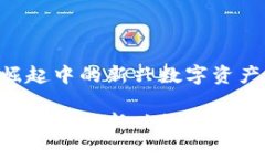 虚拟币Baby：崛起中的新兴数字资产及其未来发展